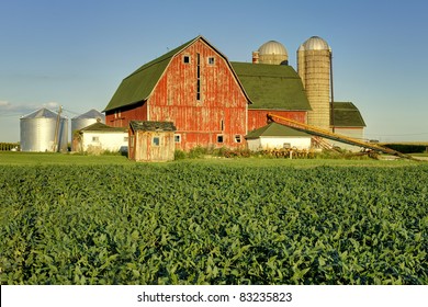 Bean Field In Front Of A Red Barn And Silos Just West Of Peotone, Illinois