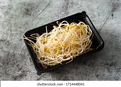 Bean Sprout In Black Plastic Container 