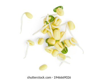 Bean Sprouts on isolated on a White Background. Moong or mung sprouts  Macro. Top view. Flat lay.
