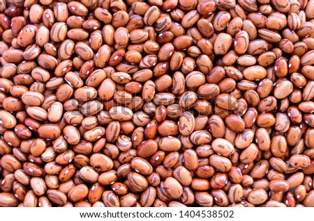 Beans of bean ( beans ).  Background of many grains of dried beans. Brown beans texture. Food background. Close up. Bean background and textured. Background of brown bean. Brazilian diet snack food.