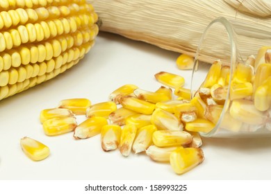 beans and corn cobs