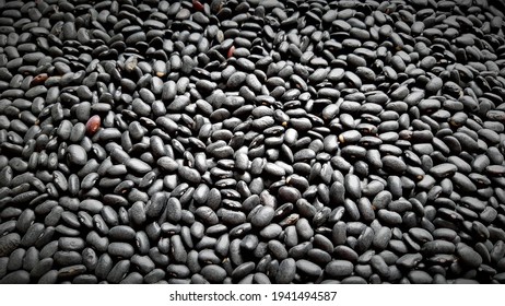 Beans Are The Type Genus Of Plants In The Legume Family. Preto Black Beans