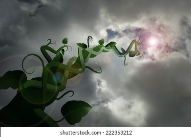 Beanstalk 2