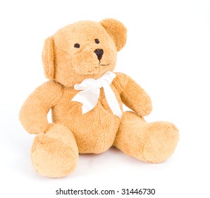 bear - Shutterstock ID 31446730