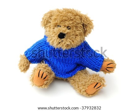 Bear with blue jumper