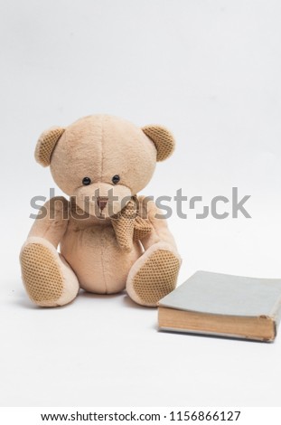  bear with books 