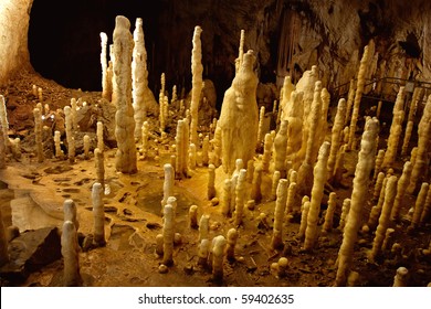 Bear Cave Detail - Bihor, Romania