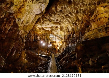 The bear cave pestera ursilor at chiscau in romania