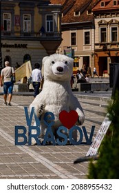 The Bear In The City Of Brasov In Romania, August 15, 2021