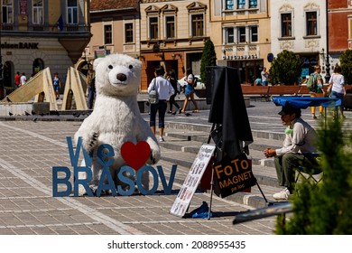 The Bear In The City Of Brasov In Romania, August 15, 2021