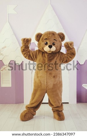 bear costume for celebrating holidays, entertainment for children and adults