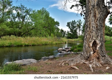 Bear Creek Park, Denver, CO