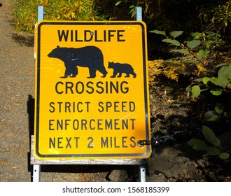 309 Bear crossing sign warning Images, Stock Photos & Vectors ...