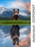 Bear cub looking the reflection of an adult bear in the water on a background of mountain