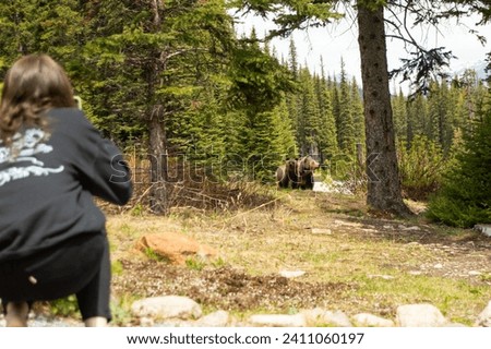 Similar – Image, Stock Photo Encounter in the forest.