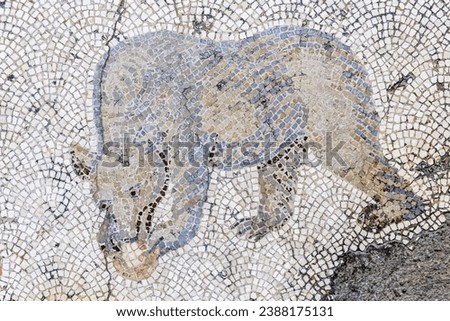 Bear, fragment of ancient mosaic from Istanbul. Byzantine period, fragment of floor