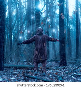 
Bear in the magic forest.