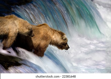 Bear Mother And Cub Fishing