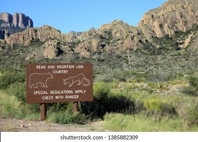 Bear And Mountain Lion Country, Big Bend National Park, Texas, USA