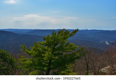 Bear Mountain State Park, New York, In Spring