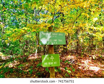 Bear Mountain Trail Sign In The Woods In Connecticut United States.