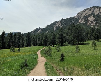 Bear Peak Hike Boulder, CO 