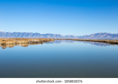 Bear River Migratory Bird Refuge, Utah