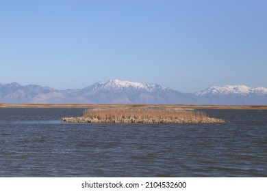 Bear River Migratory Bird Refuge, Utah