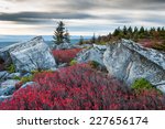 Bear Rocks Preserve Dolly Sods Wilderness Area West Virginia Autumn Landscape