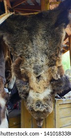 Bear Skin Fur Texture Background
