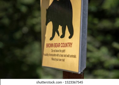 Bear Warning Sign Forest Hiking Track Stock Photo (Edit Now) 1523367545 ...