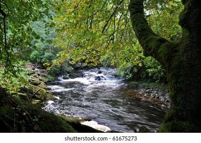 Beara Peninsula West Cork