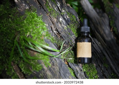 Beard Oil - Barbershop Product Photography. Top View. Bottle And Forest. Empty Label