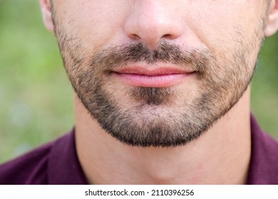 Beard On The Face Of A Young Man. Bearded Young Man, Stubble Near. Unshaven More Than A Week. Hair On The Face Of A Man, A Short Beard.