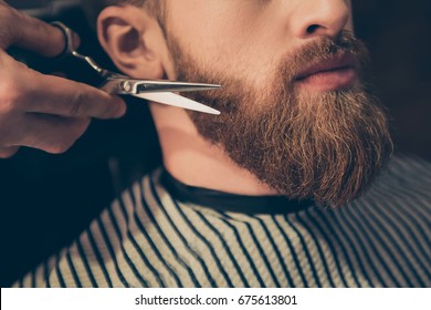 Bart gestylen und schneiden. Nahaufnahme eines Stylings eines roten Bart. So trendig und stilvoll! Konzept der Werbung und des Friseurgeschäfts