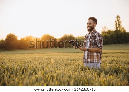 Bearded agronomist smiling and using tablet in wheat field at sunset, enjoying agricultural technology