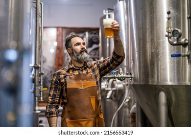 Bearded brewery master holding glass of beer and evaluating its visual characteristics. Small family business, production of craft beer.
