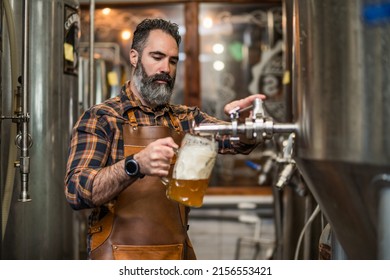 Bearded Brewery Master Tasting Beer In Production Facility. Small Family Business, Production Of Craft Beer.