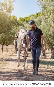 A Bearded Caucasian Man In Equestrian Clothing And Helmet Is Walking With His White Horse Through A Field With Olive Trees, Holding It By The Reins.