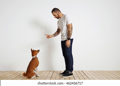 Bearded Coach In Blank T-shirt Trains His Dog To Follow The Command Sit Down