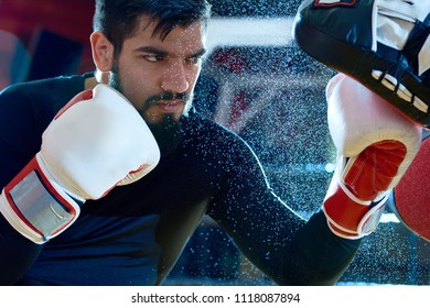 boxing focus mitts