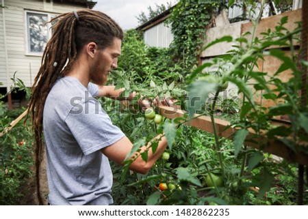 Bearded farmer with dreadlocks is working at backyard garden of his house. Natural farming and healthy eating concept