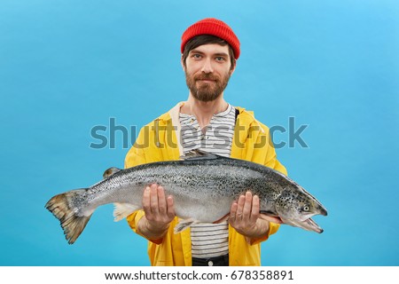 Bearded fisherman in yellow anorak and red hat holding huge fish in hands, demonstrating his successful catch. Horizontal portrait of skilled workman posing with big salmon on blue background