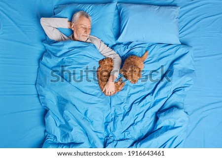 Image, Stock Photo Tired in bed Animal Pet