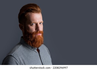 Bearded Guy Face Has Beard. Bearded Guy With Long Beard Isolated On Grey Background.