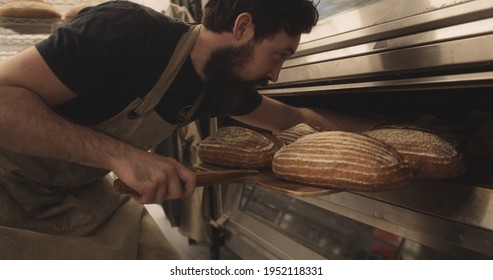 Bearded Male Baker Taking Baked Sourdough Bread Out Of The Oven Wearing Apron In Bakery