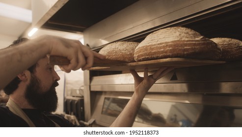 Bearded Male Baker Taking Baked Sourdough Bread Out Of The Oven Wearing Apron In Bakery