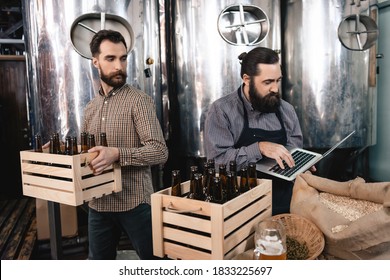 Bearded man with box of beer watches as adult man typing on laptop while standing in brewery shop. Two men in a brewery busy. - Powered by Shutterstock