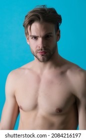 Bearded man with fit chest. Macho with sexy bare torso. Sportsman or athlete with stylish beard and hair. Training and workout activity in gym. Sport fitness and bodycare concept