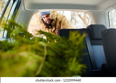 Bearded Man Loading Christmas Tree Into The Trunk Of His Car, Inside View. Hipster Puts Fir Tree Into The Back Of His Hatchback. Convertible Auto Interior With Practical Folding Seats For Boot Space.